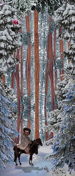 First Contact, American Girl Dolls, american girl company, colonialism, nimipuu, nez perce,native american, kaya,  Diorama,Diagrams,Jaclin Paul