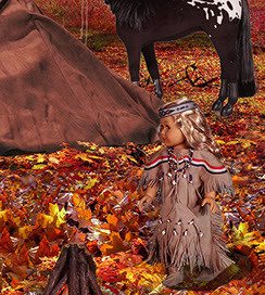 First Contact, American Girl Dolls, american girl company, colonialism, nimipuu, nez perce,native american, kaya,  Diorama,Diagrams,Jaclin Paul