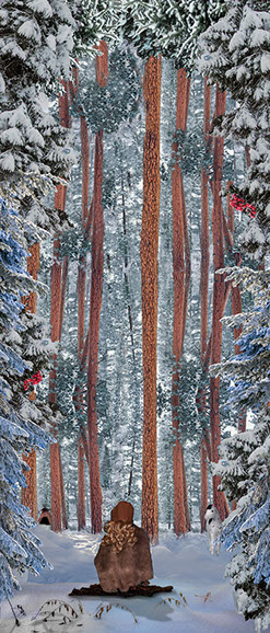 First Contact, American Girl Dolls, american girl company, colonialism, nimipuu, nez perce,native american, kaya,  Diorama,Diagrams,Jaclin Paul